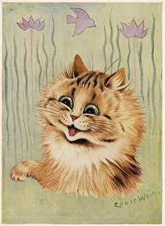 <b class=qtipBold><figcaption>An Excited Cat</figcaption></b><br>An excited cat<br><em>© Mary Evans Picture Library</em> An Excited Cat