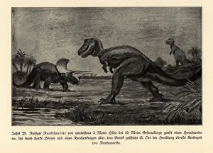 Extinct giant predatory dinosaur attacking a horned dinosaur Extinct giant predatory dinosaur attacking a horned dinosaur