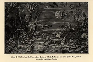 Extinct marine life in the first third of the Mesosoic Extinct marine life in the first third of the Mesosoic