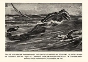 Extinct Mosasaur, Pterosaur and sea turtle Extinct Mosasaur, Pterosaur and sea turtle