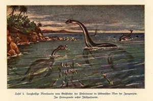 Extinct Plesiosaurs and Ichthyosaur Extinct Plesiosaurs and Ichthyosaur