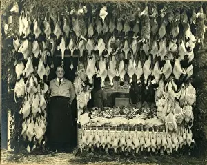 Christmas Game and Fish Print, Malmesbury, circa 1925