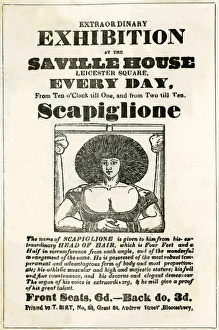 Extraordinary exhibition of Scapiglione Extraordinary exhibition of Scapiglione