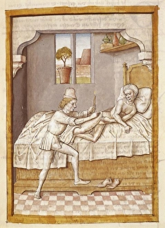 The Fables of Bidpai. Folio 6: Healing of an ill The Fables of Bidpai. Folio 6: Healing of an ill
