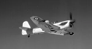 Fairey Firefly AS.7 WJ154