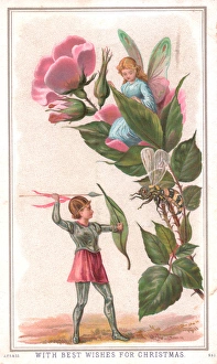 Wasps Gallery: Fairies with flower and insect on a Christmas card