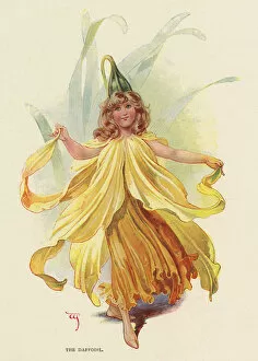 Fairies of the Garden - The Daffodil