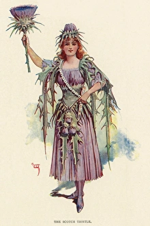 Fairies of the Garden - The Scotch Thistle Fairies of the Garden - The Scotch Thistle