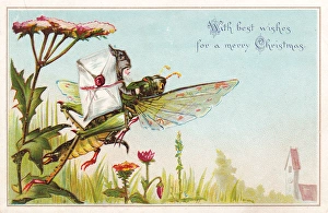 Fairy postman riding grasshopper on a Christmas card Fairy postman riding grasshopper on a Christmas card