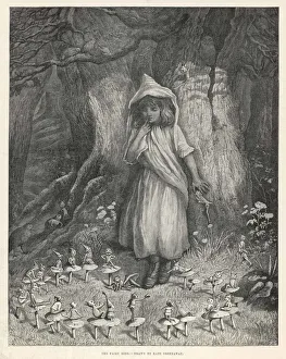 Fairy Ring / Greenaway Fairy Ring / Greenaway