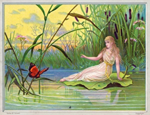 Fairy watching a butterfly on a greetings card Fairy watching a butterfly on a greetings card