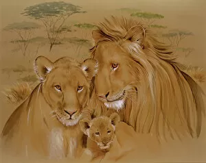 Pride Gallery: A family of lions