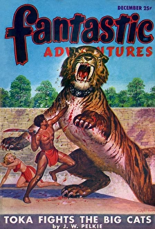 Fantastic Adventures - Toka fights the big cats Fantastic Adventures - Toka fights the big cats