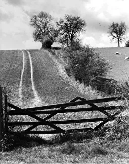 Farm track over hill, Bix, Oxfordshire, England Farm track over hill, Bix, Oxfordshire, England