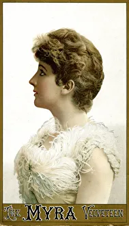 Fashion showcard, The Myra Velveteen Fashion showcard, The Myra Velveteen