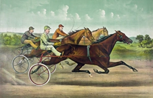 <b class=qtipBold><figcaption>Fast trotting to fast wheels</figcaption></b><br>Fast trotting to fast wheels. Date c1893. Date:<br><em>© Mary Evans / Library of Congress</em> Fast trotting to fast wheels