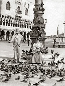 Feeding pigeons, Venice, Italy circa 1900 Feeding pigeons, Venice, Italy circa 1900