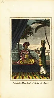A female Mamelouk of Cairo in Egypt, 1818 A female Mamelouk of Cairo in Egypt, 1818
