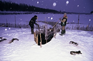 Fence-fishing, North Siberia, Russia Fence-fishing, North Siberia, Russia