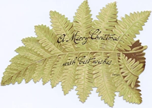 Fern with greeting on a cutout Christmas card Fern with greeting on a cutout Christmas card