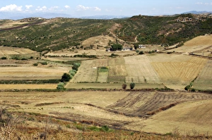 Around Fier. Rural scenary. Republic of Albania Around Fier. Rural scenary. Republic of Albania