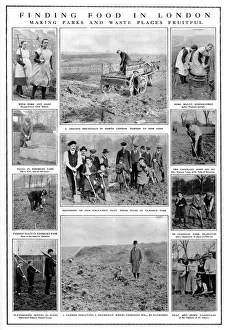 Finding Food in London: WW1 Finding Food in London: WW1