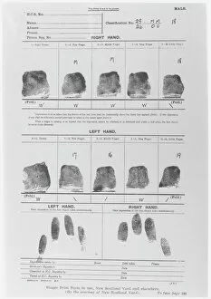 Sheet Gallery: Fingerprint Sheet