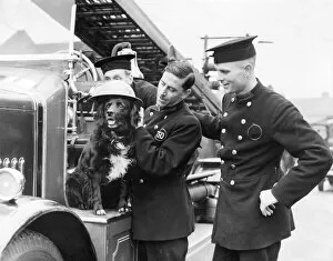 Mascot Collection: Firefighters with their dog mascot, WW2