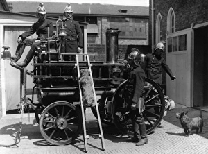 Firemen with fire engine and dogs, Surbiton, Surrrey Firemen with fire engine and dogs, Surbiton, Surrrey