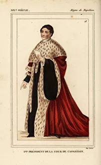 First President of the Court of Cassation, Napoleonic era First President of the Court of Cassation, Napoleonic era