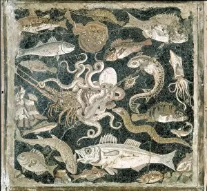 Marine Gallery: Fish Mosaic from Pompeii