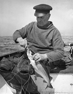 Fisherman with pollock, near Sennen Cove, Cornwall Fisherman with pollock, near Sennen Cove, Cornwall