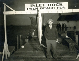 Fisherman with a sailfish in dock, Palm Beach, Florida, USA Fisherman with a sailfish in dock, Palm Beach, Florida, USA