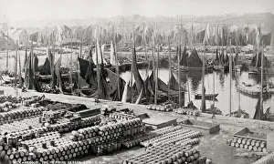 Fishing boats in harbour, barrrels of Herring fish, Wick, Sc Fishing boats in harbour, barrrels of Herring fish, Wick, Sc