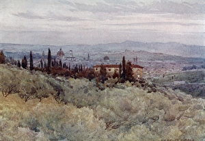 Florence from the olive gardens of San Domenico, Italy Florence from the olive gardens of San Domenico, Italy