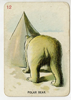 Florence Upton playing cards - Polar Bear Florence Upton playing cards - Polar Bear