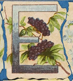 Antique Flower Art Prints: FLOWER E
