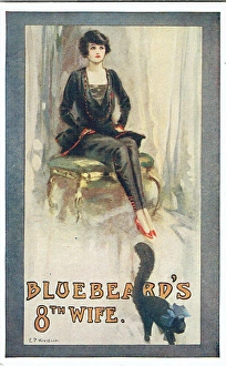 Flyer for Bluebeard by Hugh Mytton - Interior Flyer for Bluebeard by Hugh Mytton - Interior