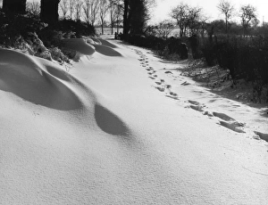 <b class=qtipBold><figcaption>Footprints in the Snow</figcaption></b><br>Footprints in the snow after a heavy fall... Date: 1960s<br><em>© Mary Evans Picture Library</em> Footprints in the Snow