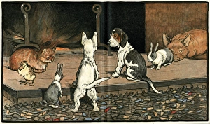 Forager the puppy joins the other animals by the fire Forager the puppy joins the other animals by the fire