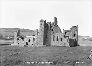 Derelict Gallery: Fore Abbey, Co. Westmeath
