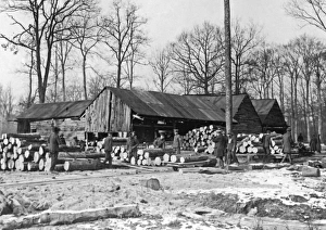 Forest lumber works, Western Front, France, WW1 Forest lumber works, Western Front, France, WW1