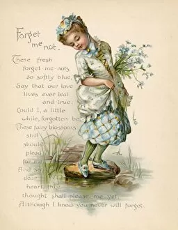 Language Collection: Forget Me Not / Language of Flowers
