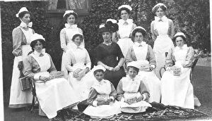 Nursing Gallery: Formal group of ten nurses with collecting boxes, and lady
