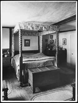 Sights Gallery: Nonsuch Park Collection