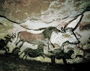 Cave Painting Prints: Upper Paleolithic Cave Painting Print: Horses and a Bull