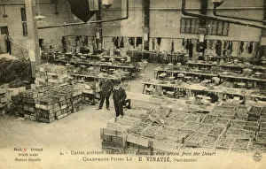 France - Trade - Dates from the desert oasis France - Trade - Dates from the desert oasis