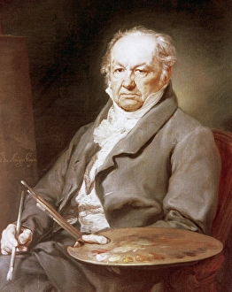 Francisco de Goya portrait by Vicente Lopez Francisco de Goya portrait by Vicente Lopez