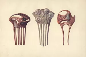 Holme Gallery: French art nouveau hair combs in enamel, shell