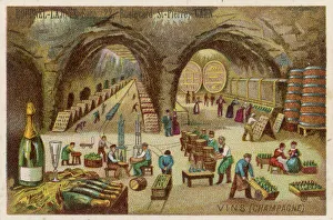 Vine Yard Gallery: French Champagne Cellars